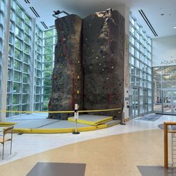 Lakeshore Foundation