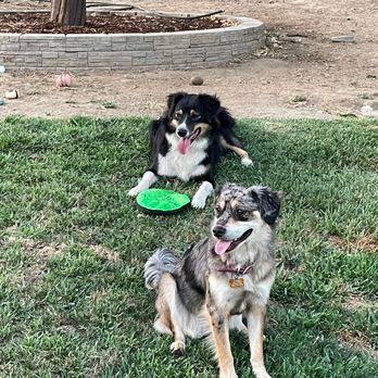 PetSmart - Lucky and Lila - Pet Stores Near Me - Upland, California