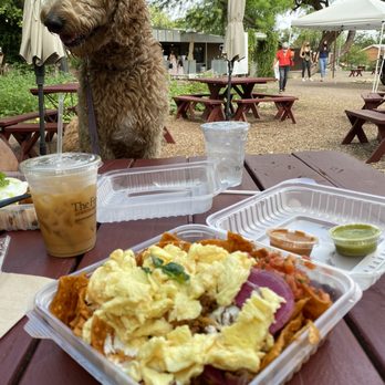Morning Glory Cafe - Chilaquiles - Breakfast & Brunch Near Me - Phoenix, Arizona