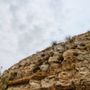 Photo of City of Rancho Palos Verdes