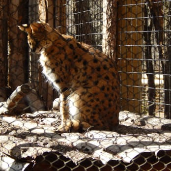 Zoo Boise - Zoos Near Me - Boise, Idaho