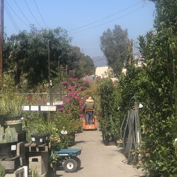 Green Thumb Nursery - Nurseries & Gardening Near Me - Lake Forest, California Green Thumb Nursery - Nurseries & Gardening Near Me - Lake Forest, California