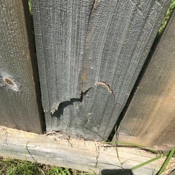 Lawn Jox - Broken fence - Landscaping Near Me - Olive Branch, Mississippi