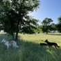 Grasslands Regional Park