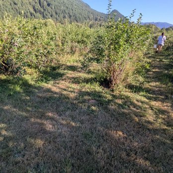 Bybee Farms - Farms Near Me - North Bend, Washington