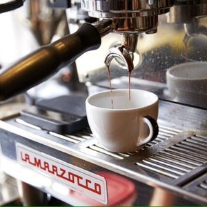 MOLASSES BOOKS - 45 Photos & 55 Reviews - Bookstores - 770 Hart St