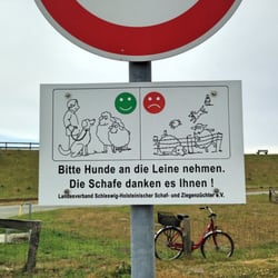Wattwandererlebnis - Denken Sie an die Schafe!