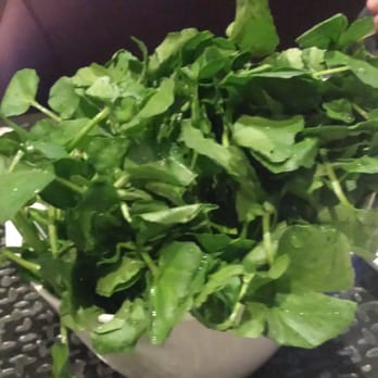 Dragon Beaux - All you can eat ($32 per person): Watercress - Dim Sum Near Me - San Francisco, California