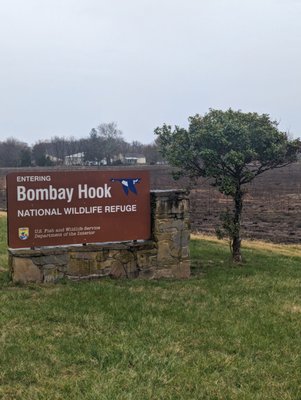 Bombay Hook National Wildlife Refuge by null