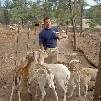 Grand Canyon Deer Farm - Zoos Near Me - Williams, Arizona Grand Canyon Deer Farm - Zoos Near Me - Williams, Arizona