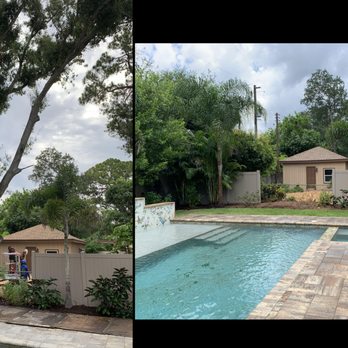 Island Tree Service - Tree Services Near Me Island Tree Service - Tree Services Near Me