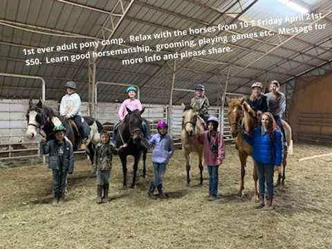 River Valley Equestrian - equestrian in Ozark, AR
