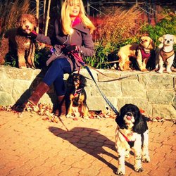 Pups and Pals Pet Care - A day in the life of Pups and Pals:)