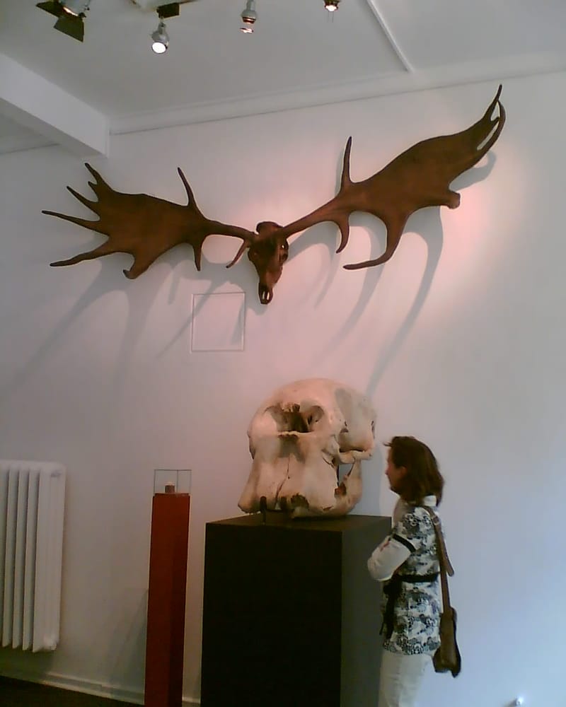 Mineralien-Museum Kupferdreh