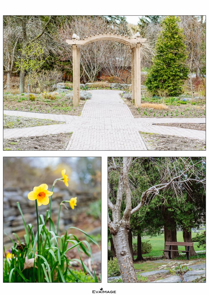 James Gardens Image