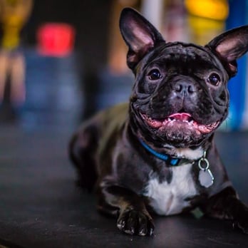 Crossfit Milk District - Grace - Interval Training Gyms Near Me - Orlando, Florida Crossfit Milk District - Grace - Interval Training Gyms Near Me - Orlando, Florida