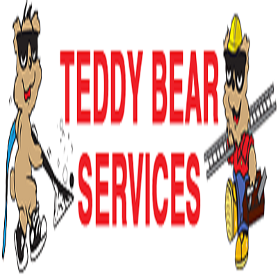 Slide of Teddy Bear Services