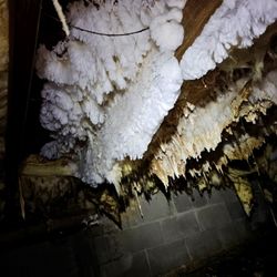 The Great Indoors Mold Pros - Bad mold in a crawlspace with no ventilation