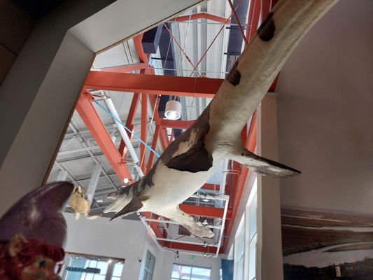 Alabama Aquarium at the Dauphin Island Sea Lab by null
