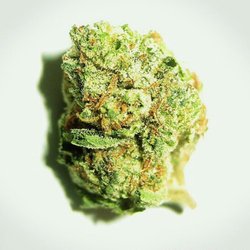 Nursery's Best MMJ Delivery