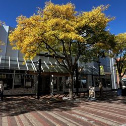 Outdoor Gear Exchange