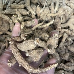 Yang Sheng Tang Ginseng Herbs