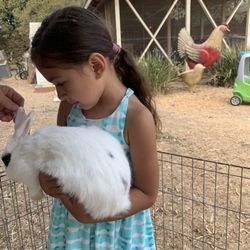 Windsor Family Farm