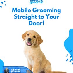 Zoomin Groomin