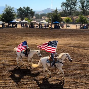 Total Equine Boarding - Horse Boarding Near Me - Clovis, California Total Equine Boarding - Horse Boarding Near Me - Clovis, California