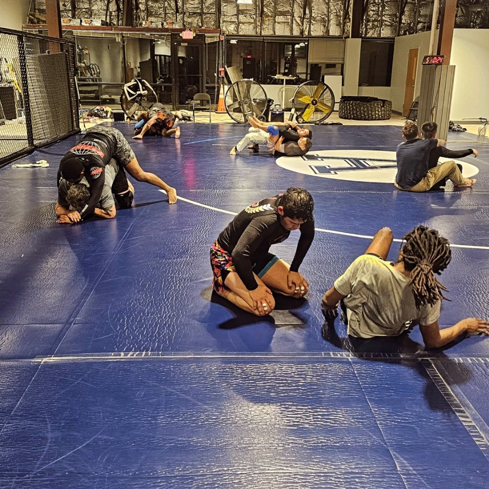 Combat Principles MMA Logo