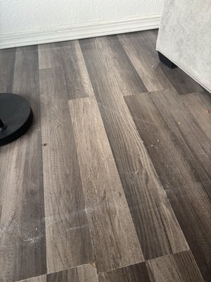 Sea Horse Oceanfront Lodging