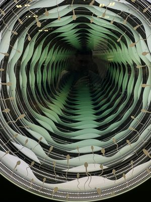 Palmer Events Center by null