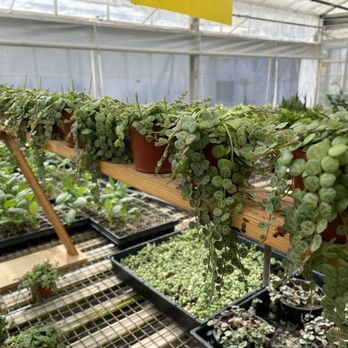 Poly Plant Shop - Nurseries & Gardening Near Me - San Luis Obispo, California Poly Plant Shop - Nurseries & Gardening Near Me - San Luis Obispo, California
