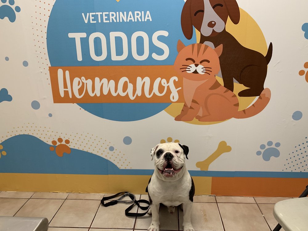 VETERINARIA MEXICALI TODOS HERMANOS Updated August 2024 Calzada Ada