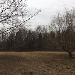 Duke Street Dog Park
