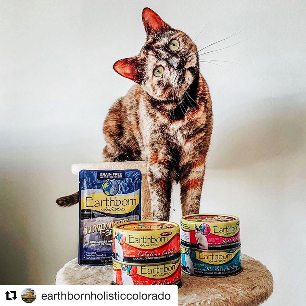 PET FOOD DEPOT 386 Photos & 19 Reviews 6989 N Hayden Rd, Scottsdale, Arizona Pet Stores