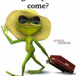 Absolute Frog Transportation - I'm not really crazy