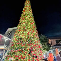 Annual Holiday Tree Lighting, immediately followed by live performances at The Vineyards at Porter Ranch, 12/4/2025 Annual Holiday Tree Lighting, immediately followed by live performances at The Vineyards at Porter Ranch, 12/4/2025