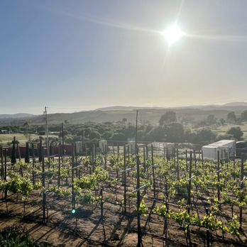 La Cima Del Valle - Vineyards - Hotels Near Me - Villa de Juárez, BCN La Cima Del Valle - Vineyards - Hotels Near Me - Villa de Juárez, BCN