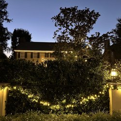 Brilliant Bulbs