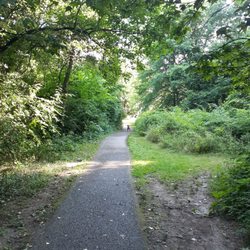 Rheinstrom Park