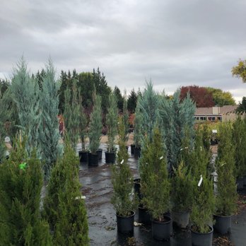 Cloverdale Nursery - Nurseries & Gardening Near Me - Boise, Idaho Cloverdale Nursery - Nurseries & Gardening Near Me - Boise, Idaho