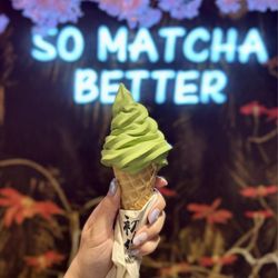 Shodai Matcha