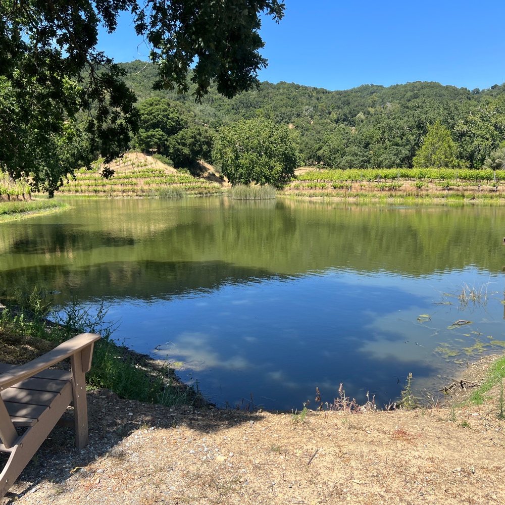 Martin Ranch Winery - Wineries Near Me - Gilroy, California