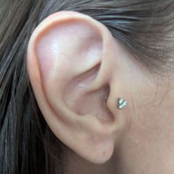 Steel N Ink Body Piercing - Tragus piercing