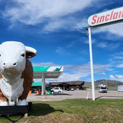 Sinclair - The Big MT cow
