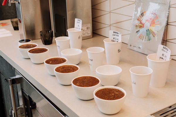 Progeny Coffee by null