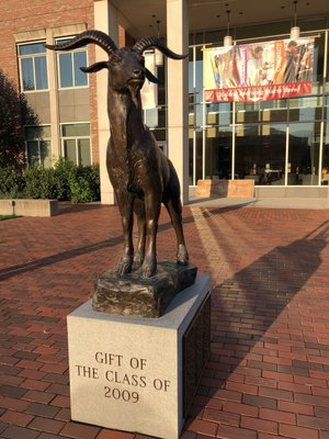 Worcester Polytechnic Institute by null