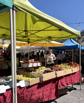 Noe Valley Farmers Market by null
