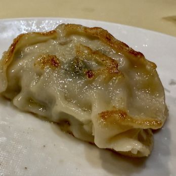 MingHin Cuisine - Closeup of potsticker. - Seafood Near Me - Chicago, Illinois